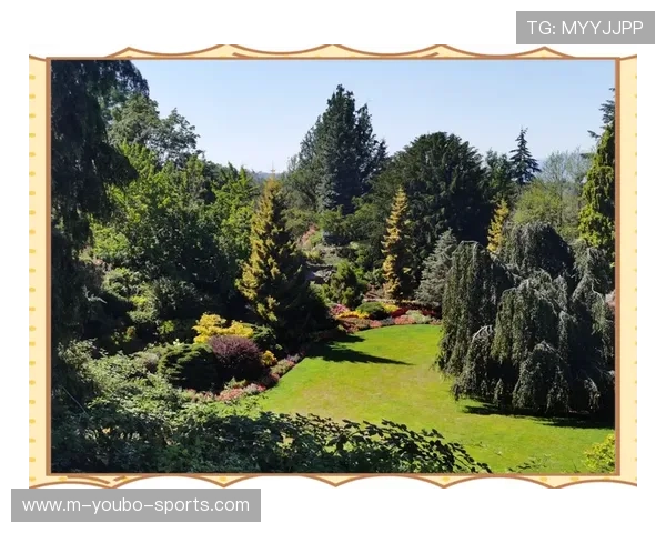 女王公园巡游者俱乐部周边精彩活动与社区生活全景指南